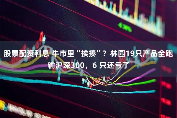 股票配资利息 牛市里“挨揍”？林园19只产品全跑输沪深300，6 只还亏了